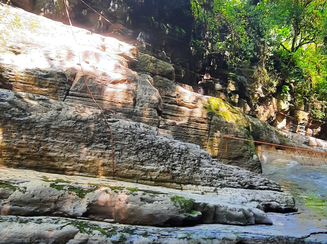 Paraíso De Las Yungas景点图片