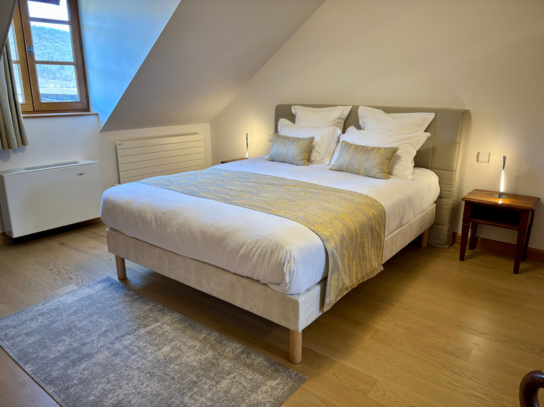 Hôtel Le Manassès主图