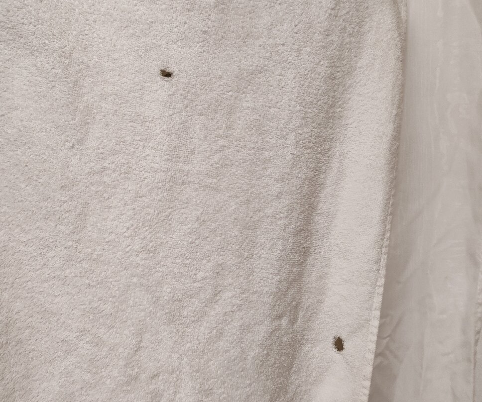 Microtel Inn & Suites by Wyndham Toluca主图