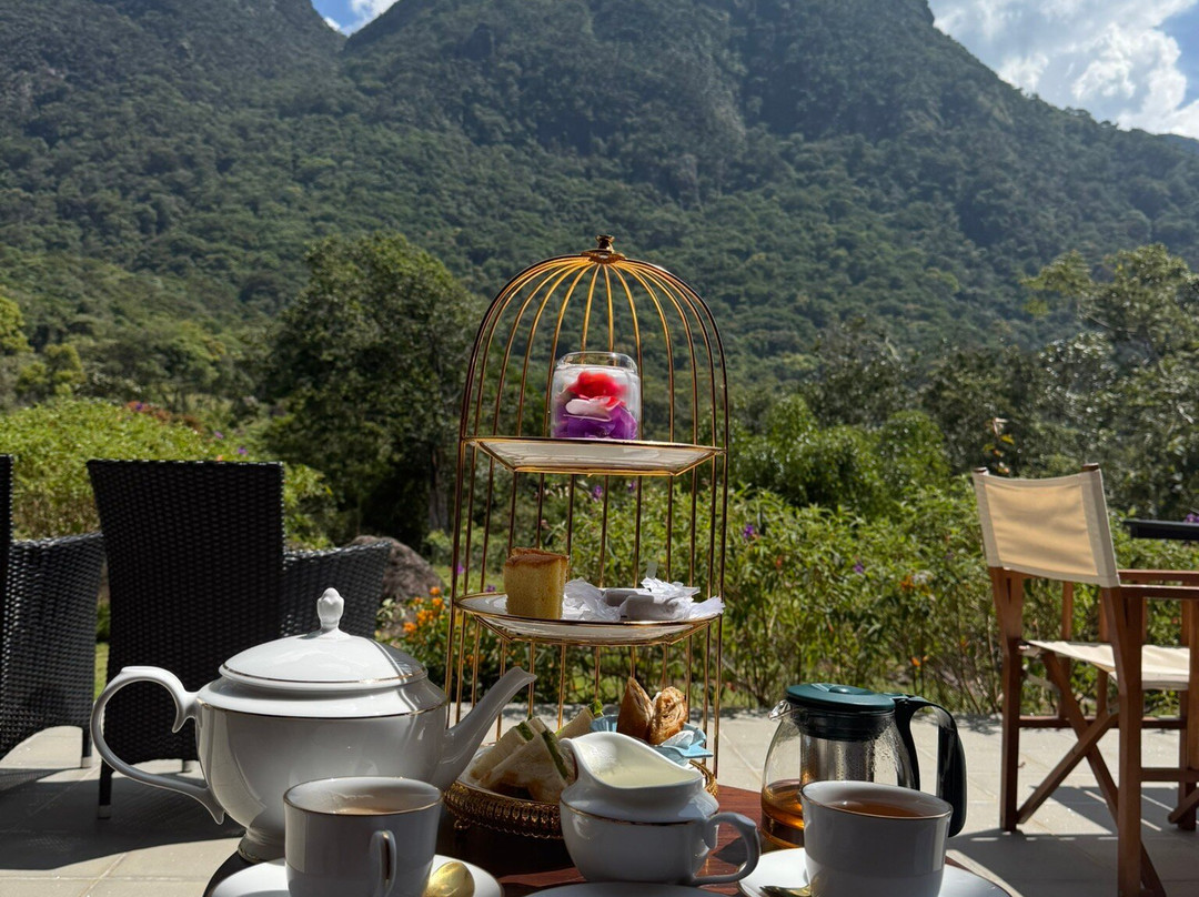 Rosewood Manor主图