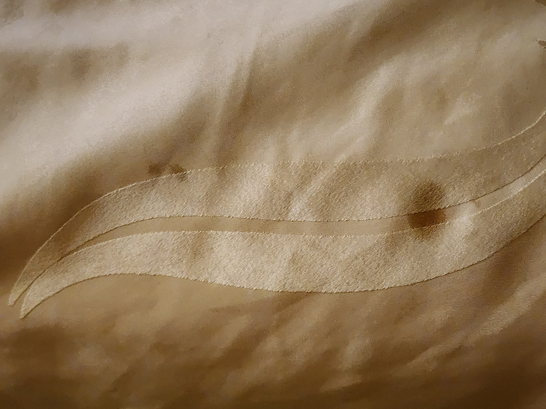 Baymont by Wyndham Springfield主图