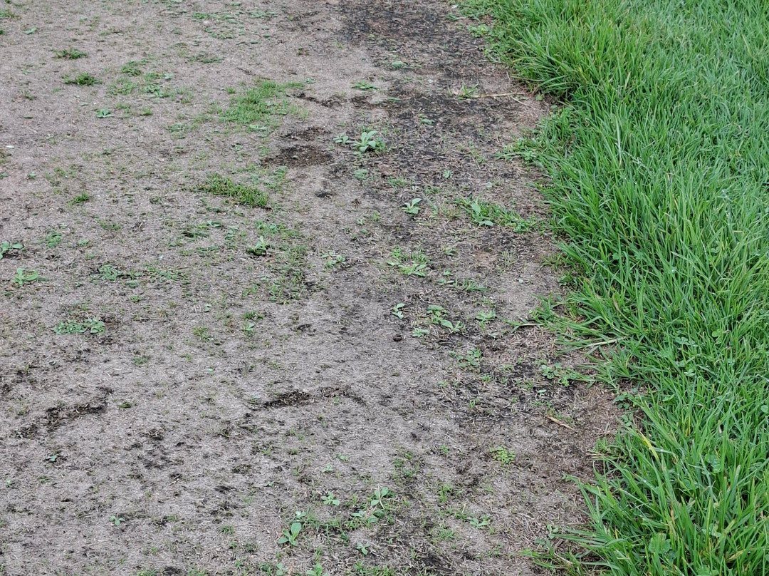 Badplaas Golf Club Guest House & Lodge主图