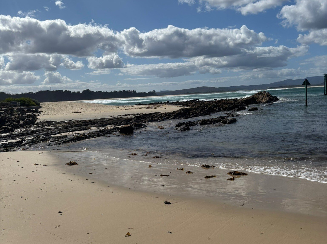 The Wave Oasis主图