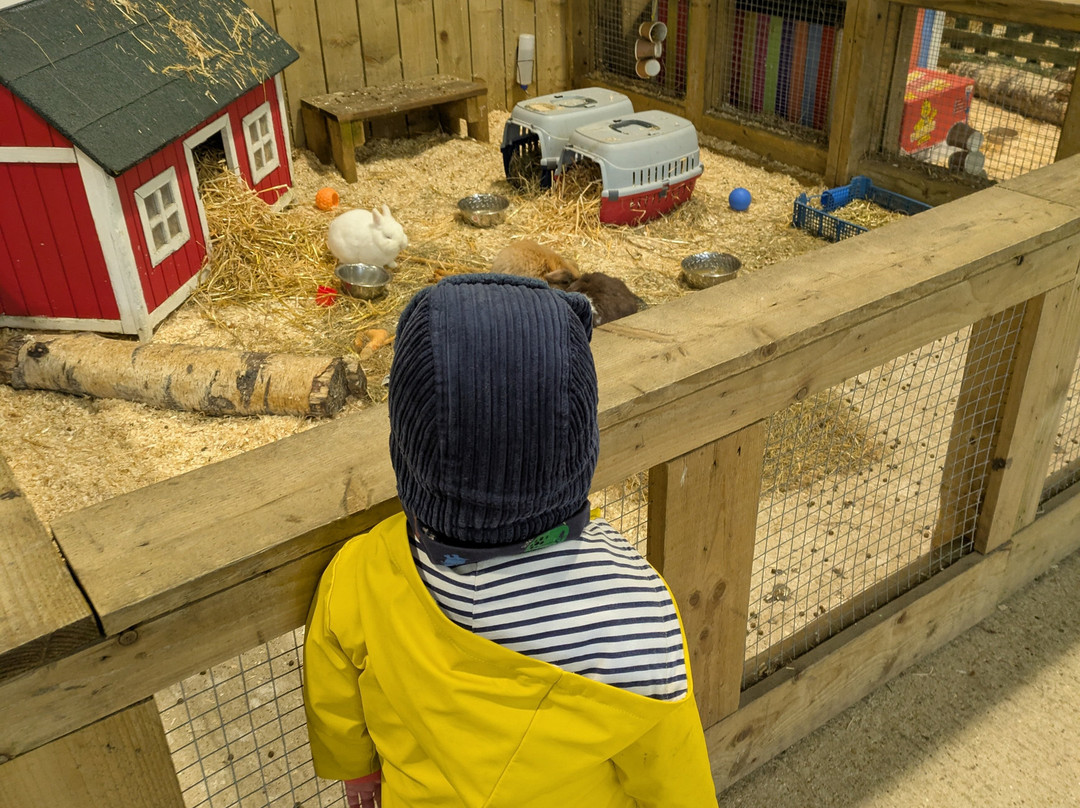 Chobham Adventure Farm景点图片
