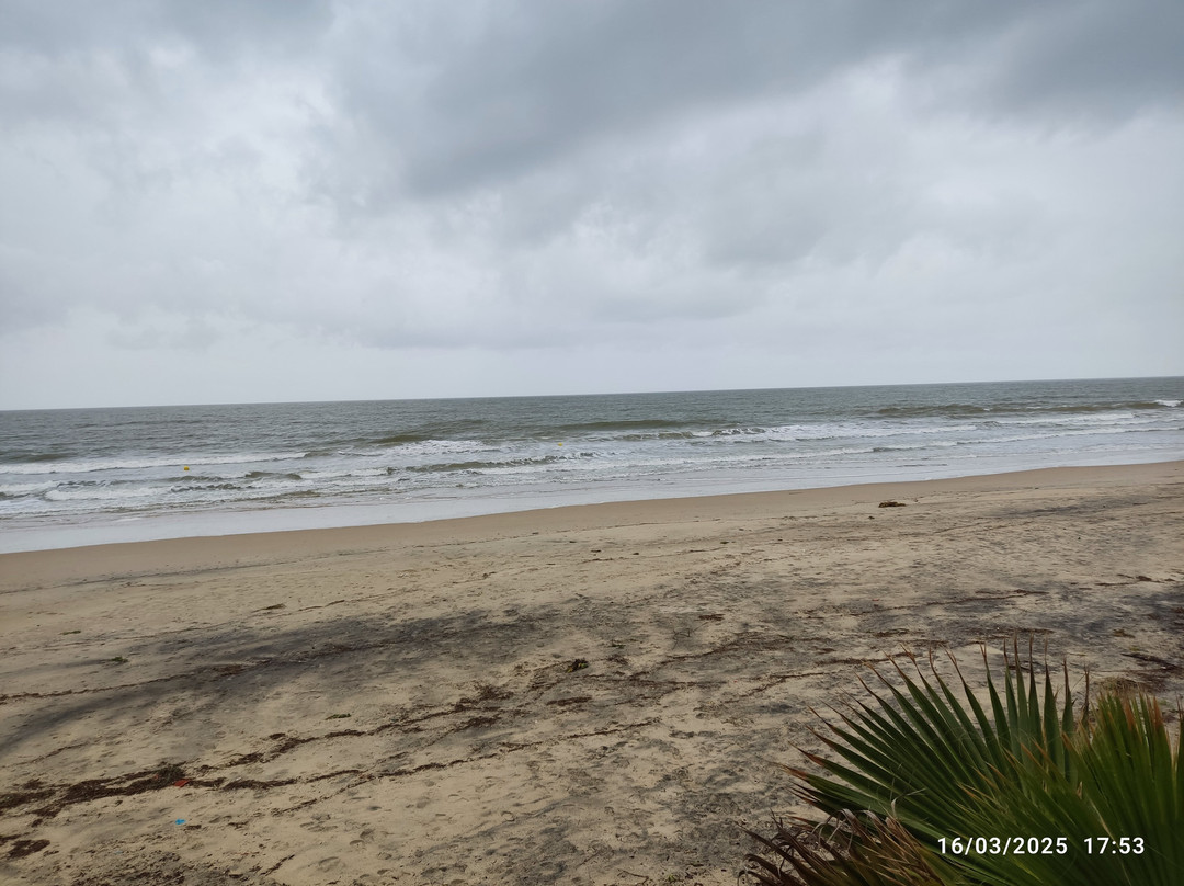 Playa de Matalascañas景点图片