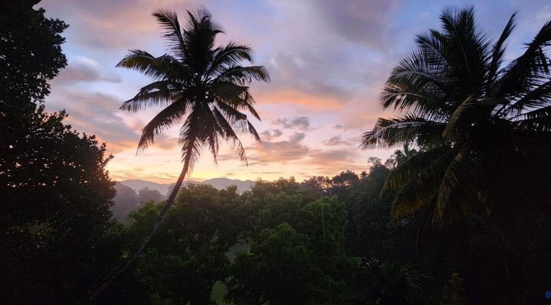 Hanthana View