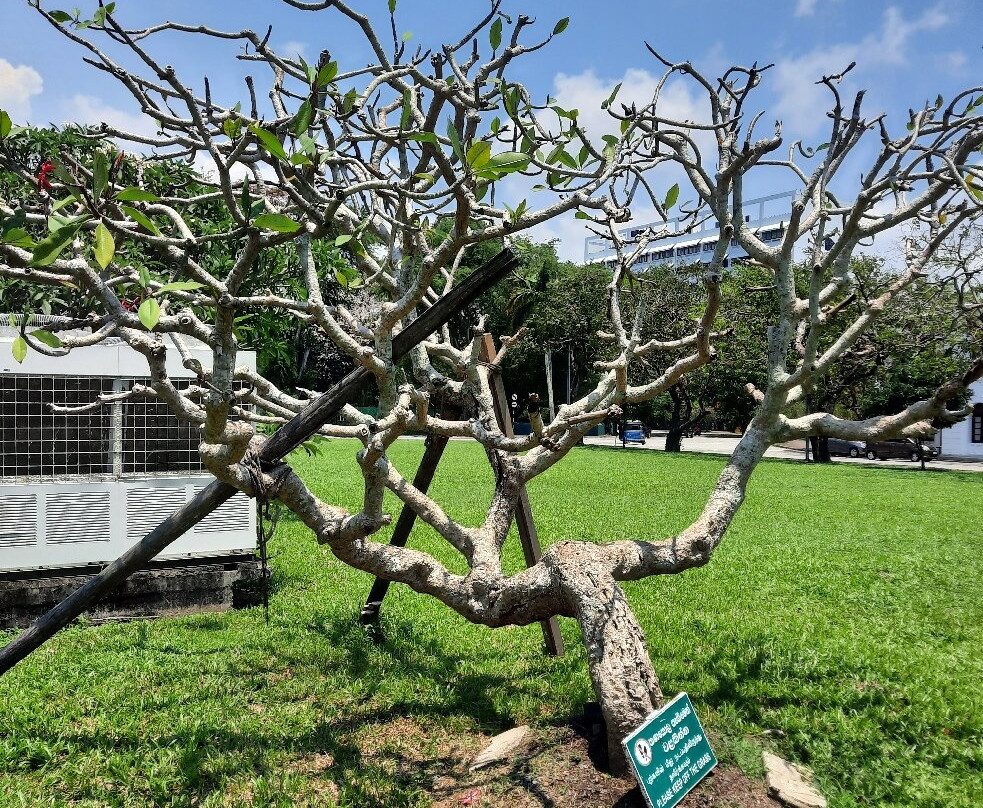 独立广场-科伦坡必去景点