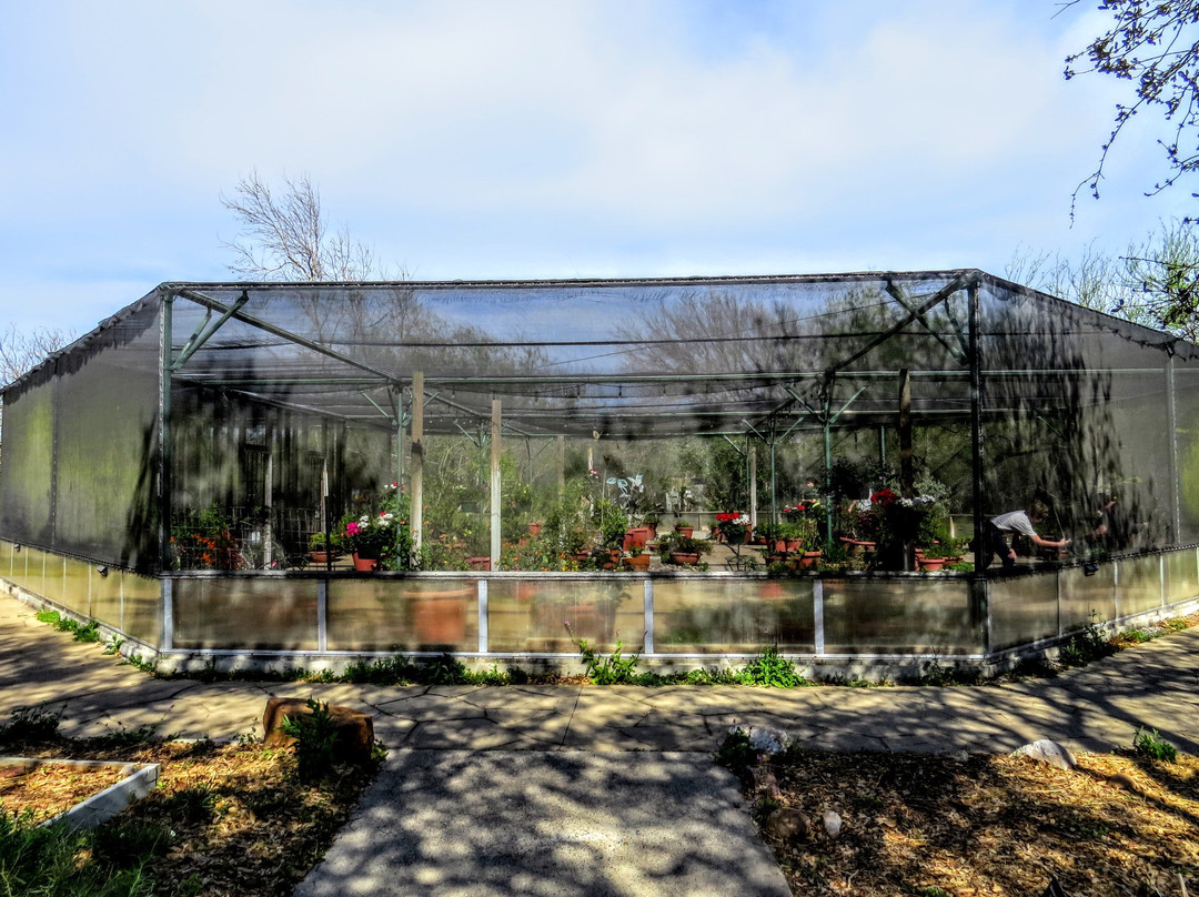 South Texas Botanical Gardens & Nature Center-科珀斯克里斯蒂市必去景点
