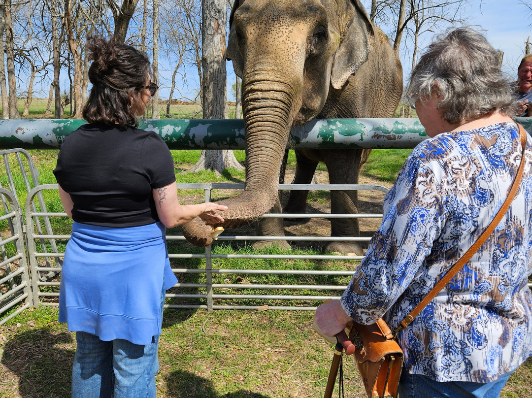 The Endangered Ark Foundation-Hugo必去景点