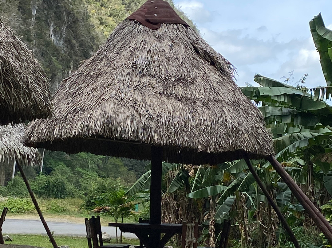 Palenque de los Cimarrones-维纳勒斯必去景点