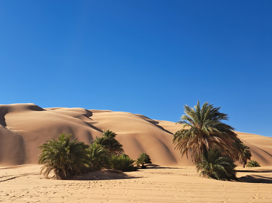 Desert Mauritanie-诺克少必去景点