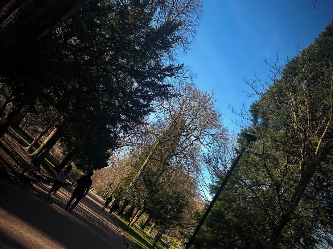 Walsall Arboretum景点图片