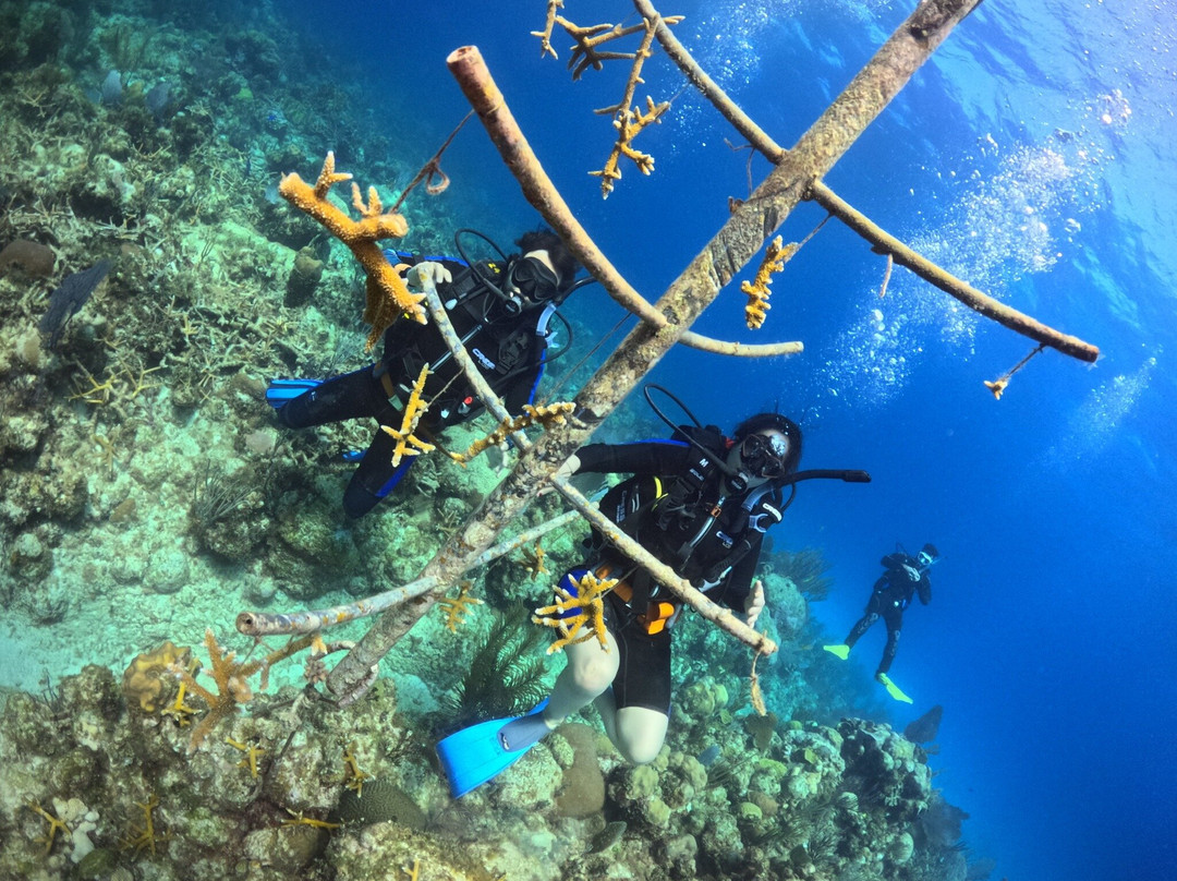 Varadero Diving Tour-Playa Larga必去景点