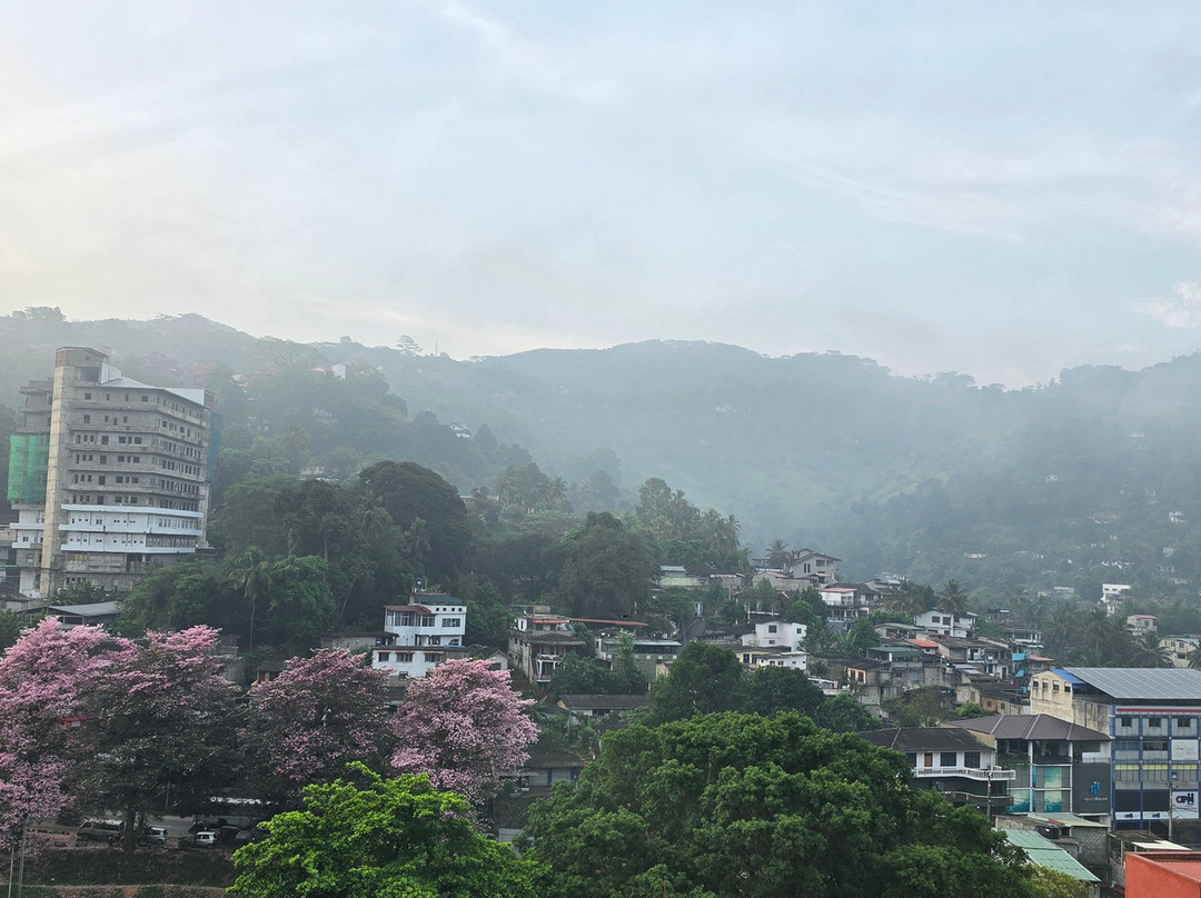 Oak Ray City Hotel主图