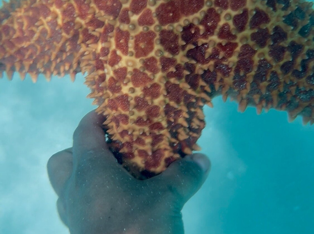 Cayenasam Travel and Tours-拉斯特拉纳斯必去景点