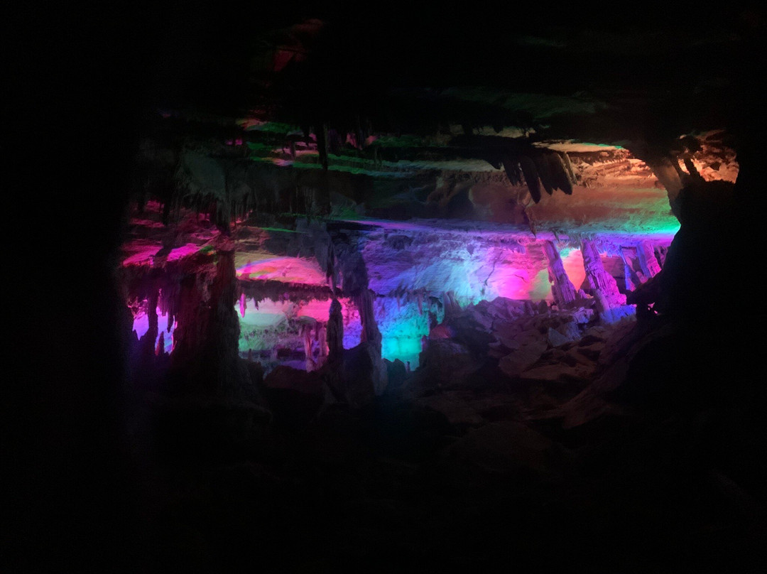 Penn's Cave & Wildlife Park景点图片