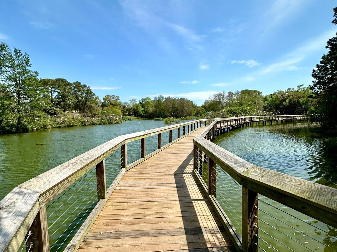 Cypress Wetlands-Port Royal必去景点