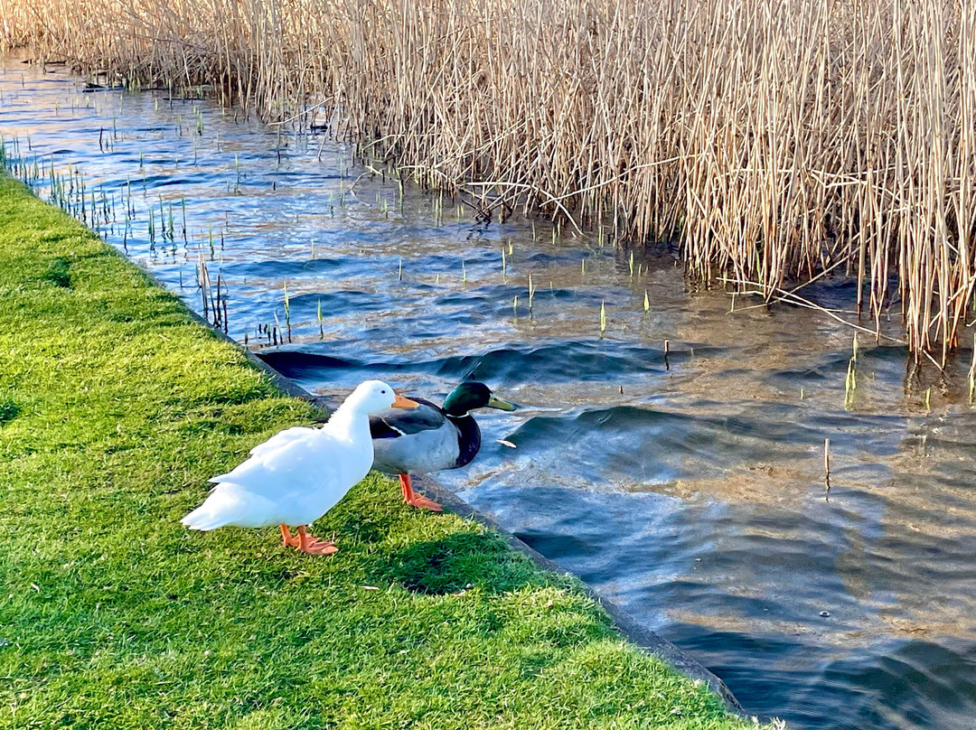 Tayport Common-Tayport必去景点