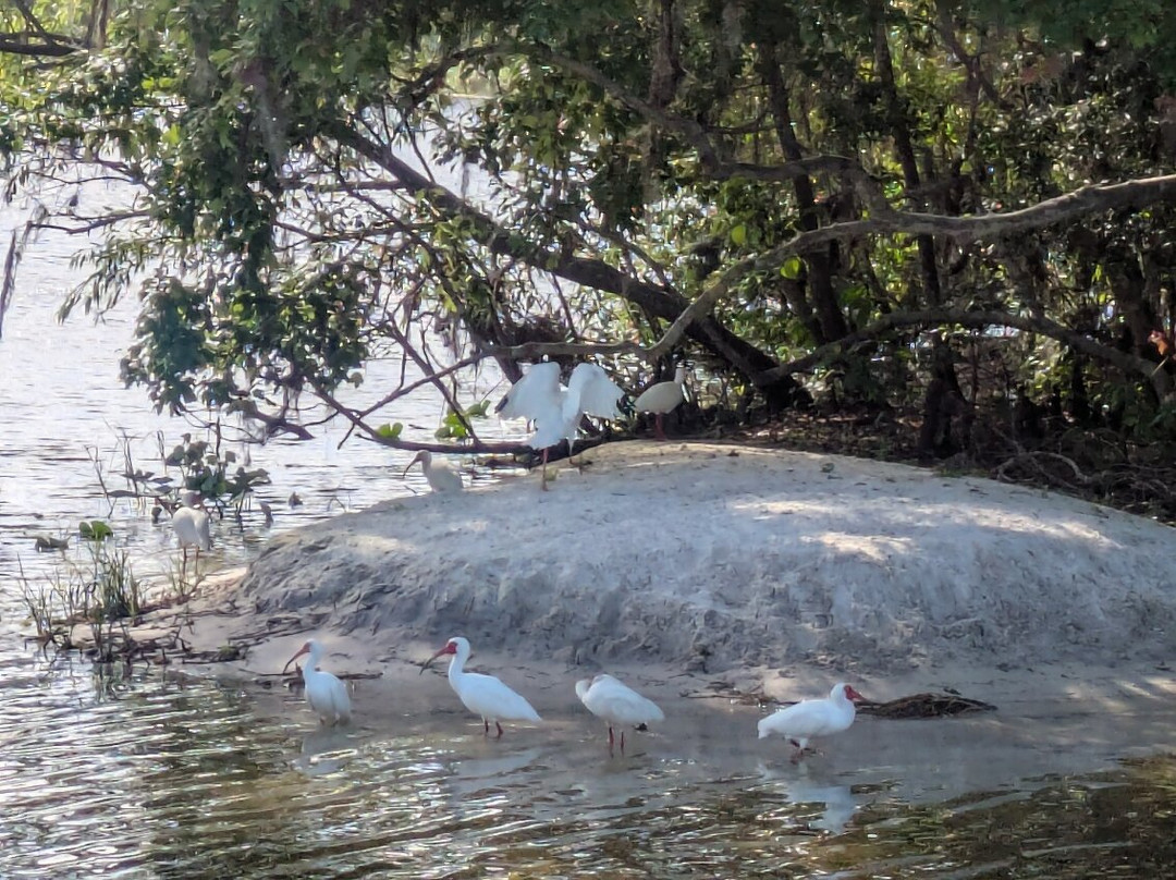 Singing River Tours-Dunnellon必去景点