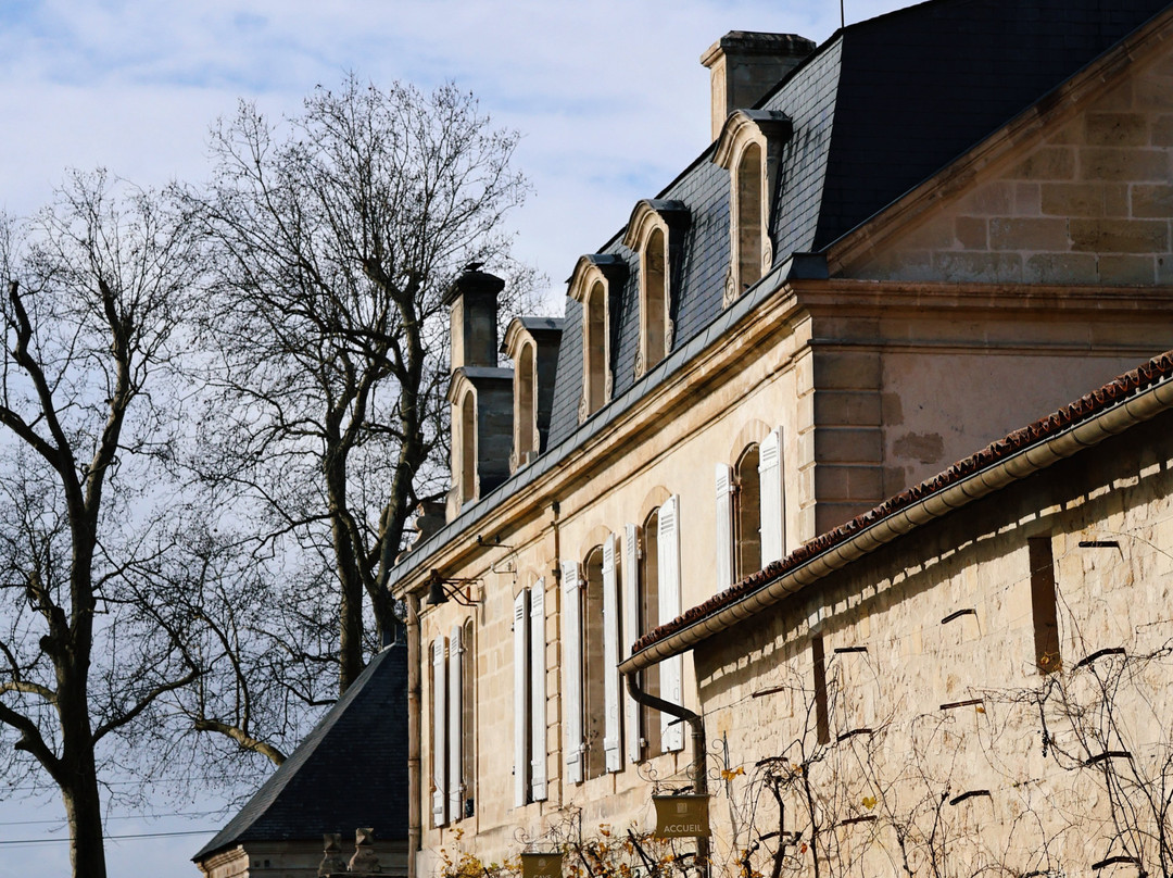 Château Sainte Barbe景点图片