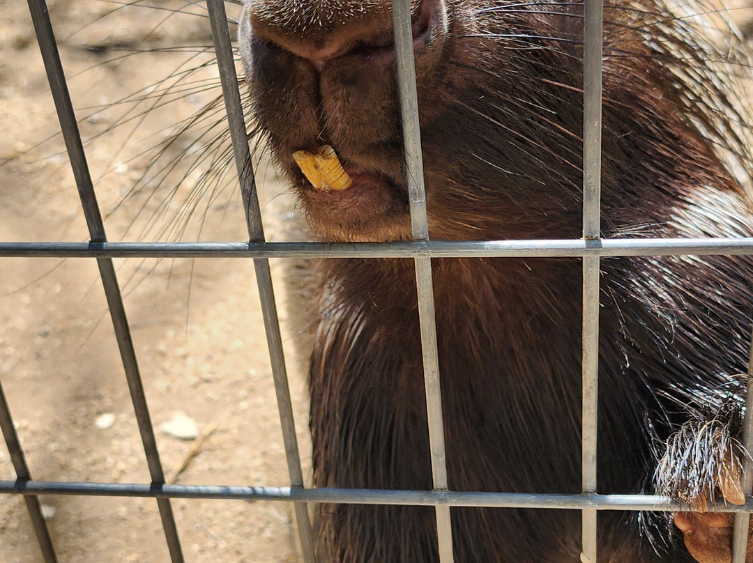 Nurtured By Nature-瓦利森特必去景点