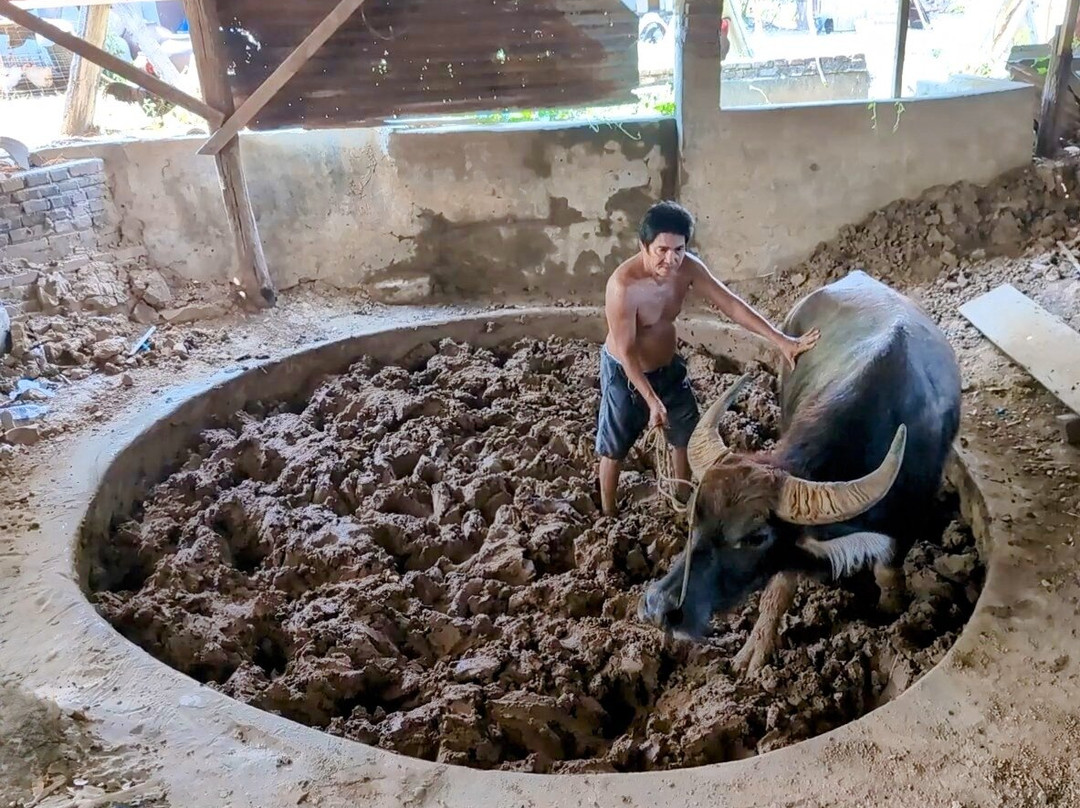 RG Jar Factory-维甘必去景点