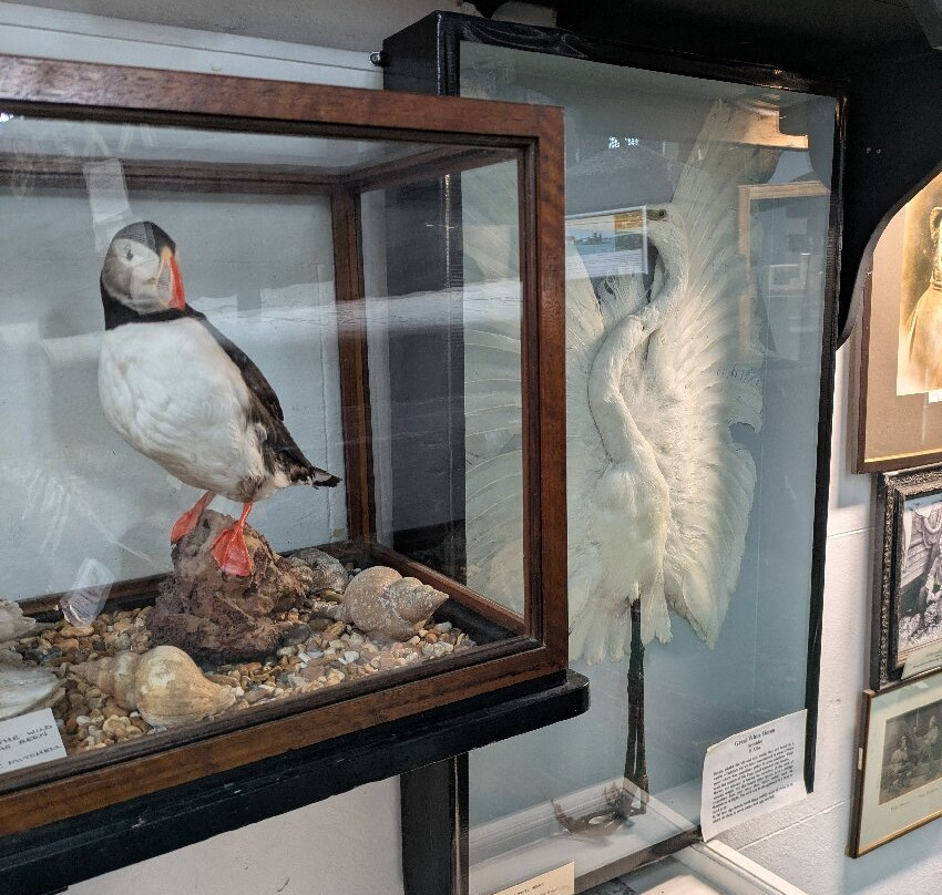 Hastings Fishermen's Museum景点图片