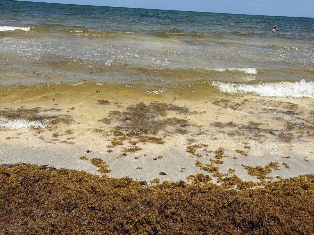 Hayhu Beach Experience景点图片