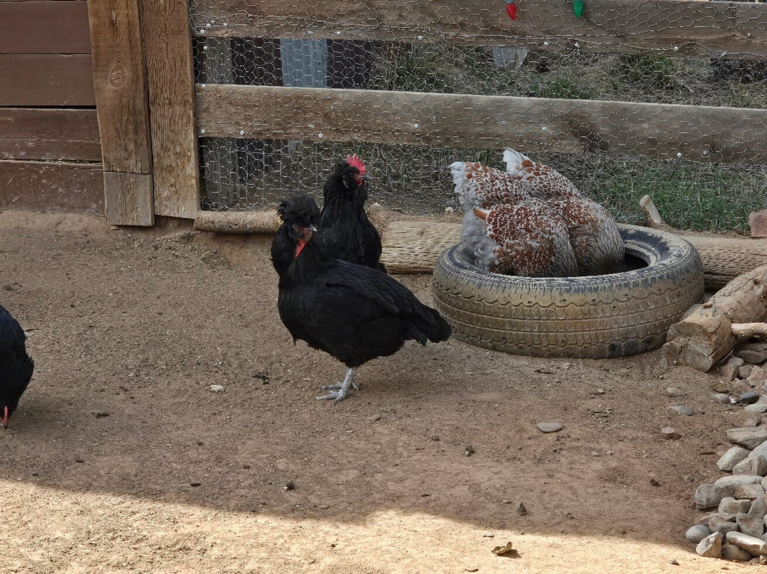 Double G Ranch主图