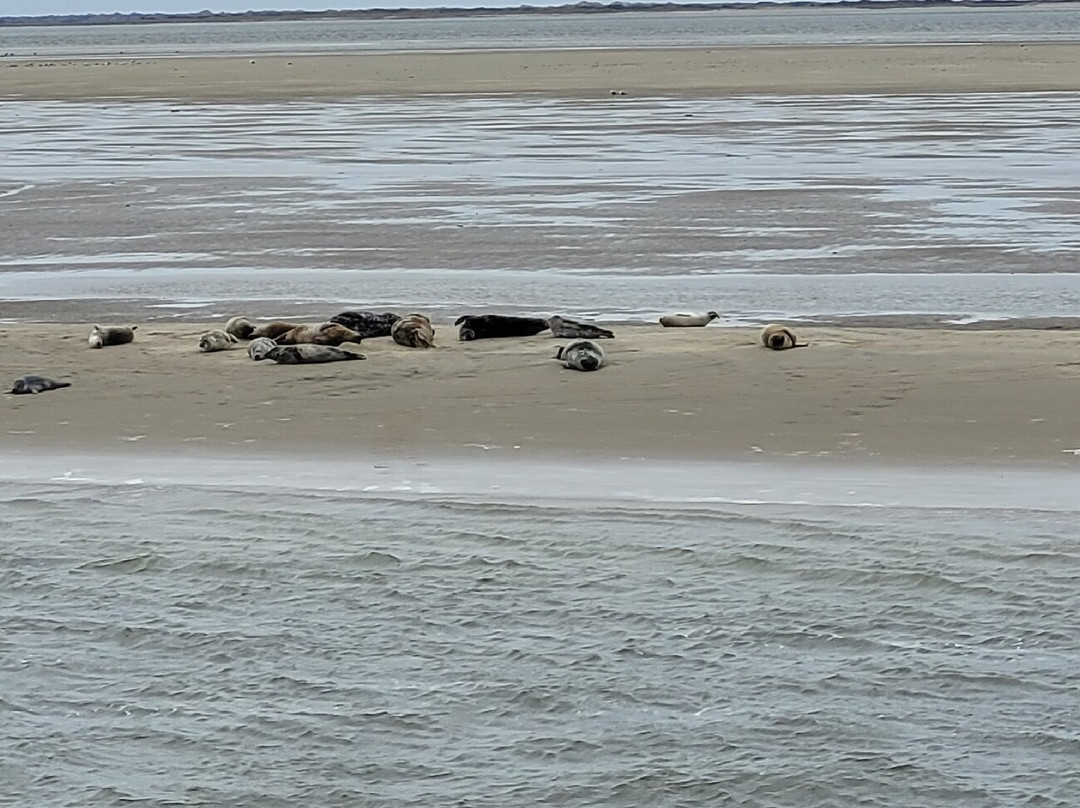 Expeditie Waddenzee景点图片