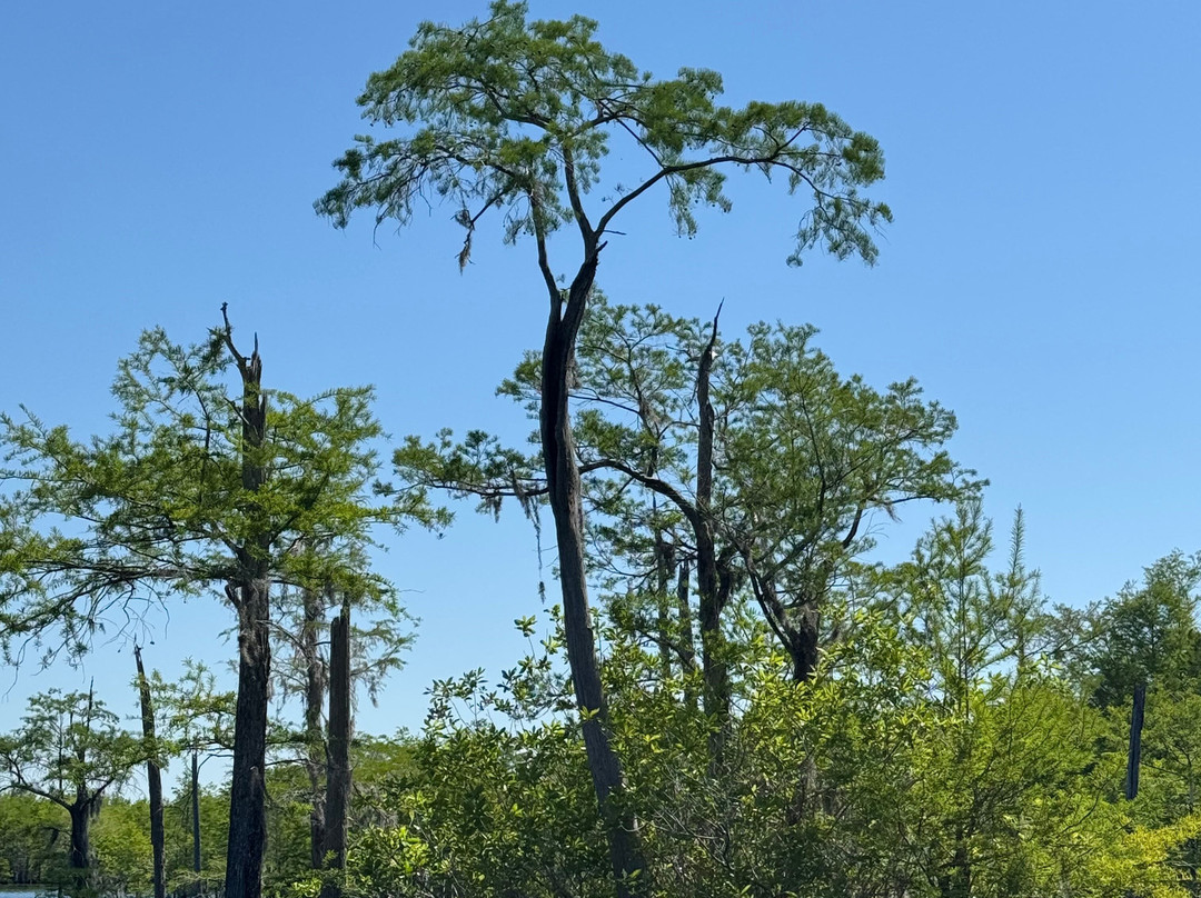 Off The Map Expeditions - Tours-Wewahitchka必去景点