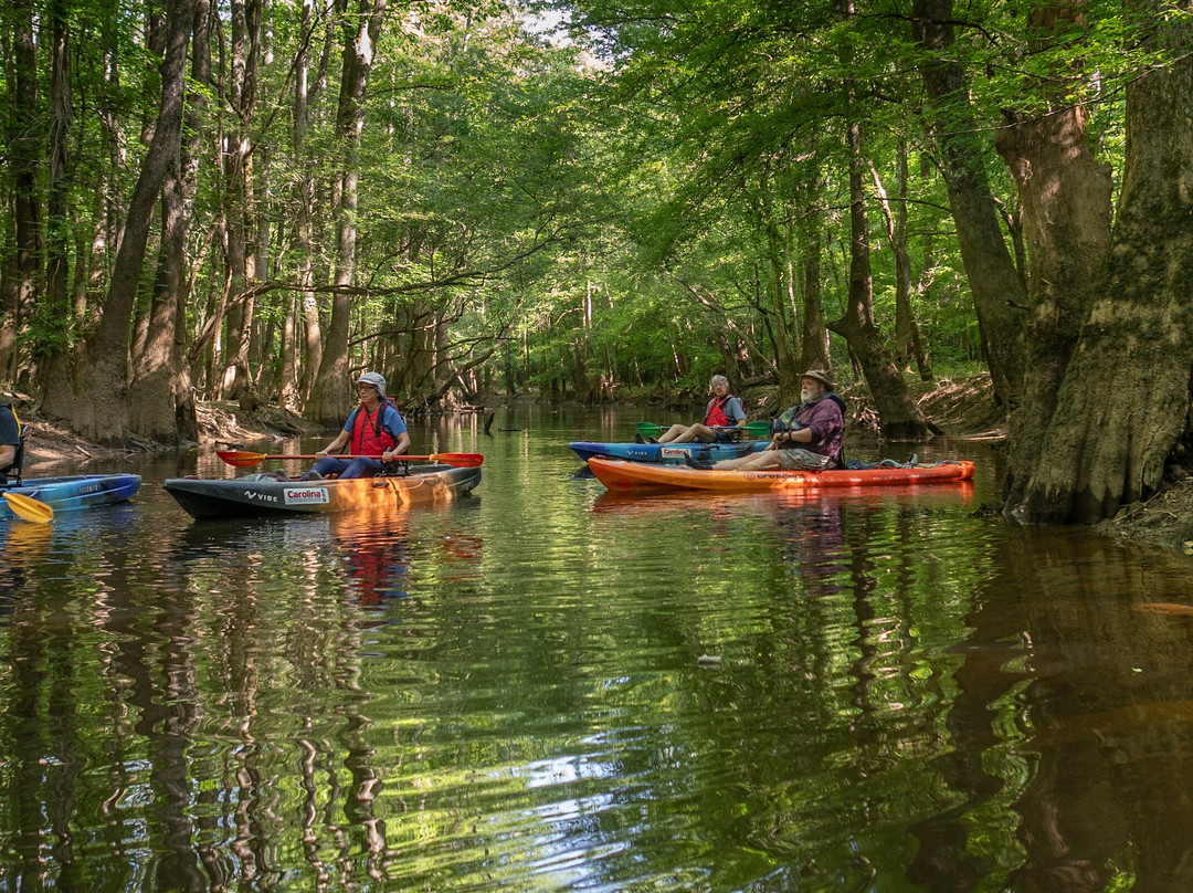 Carolina Outdoor Adventures景点图片