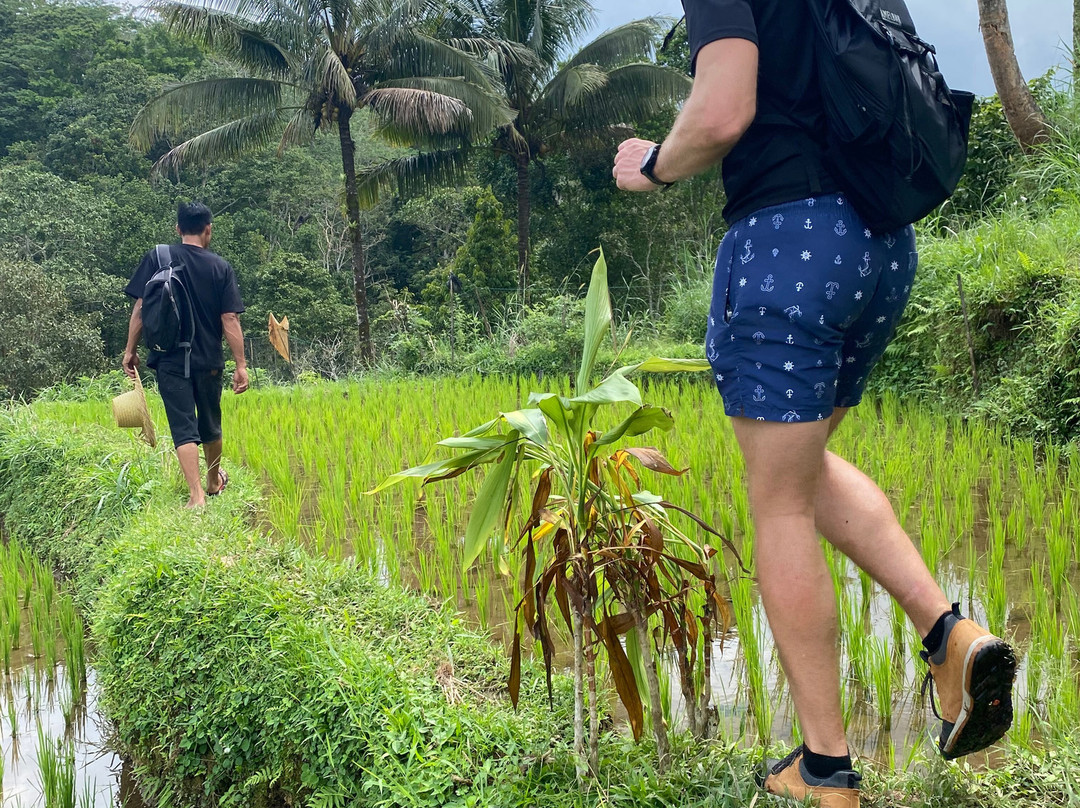 Davi Trekker-Tetebatu必去景点