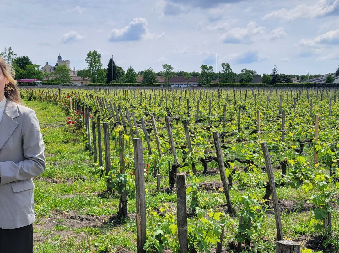 Château Pape Clément景点图片