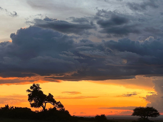 Wildlife Sun Safaris-蒙巴萨必去景点