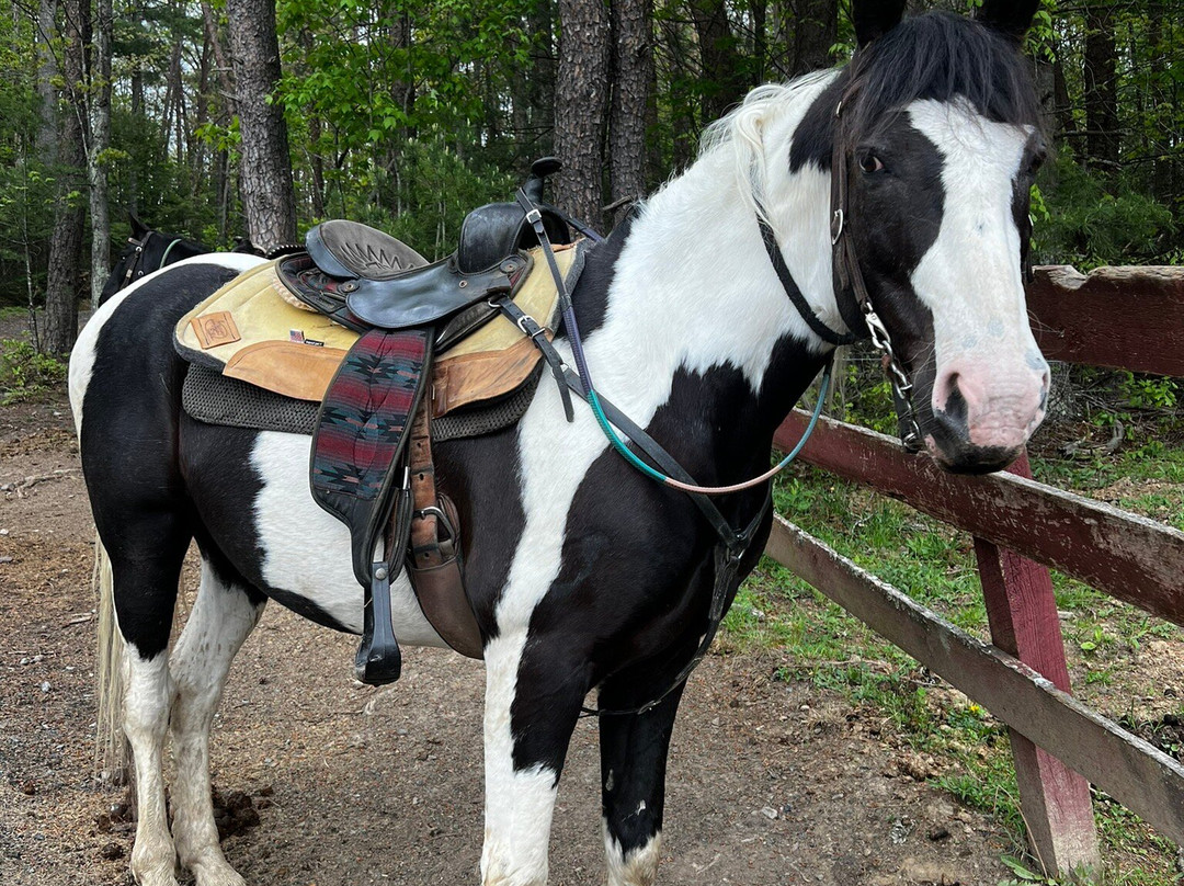 Appalachian Horse Adventures-温泉村必去景点
