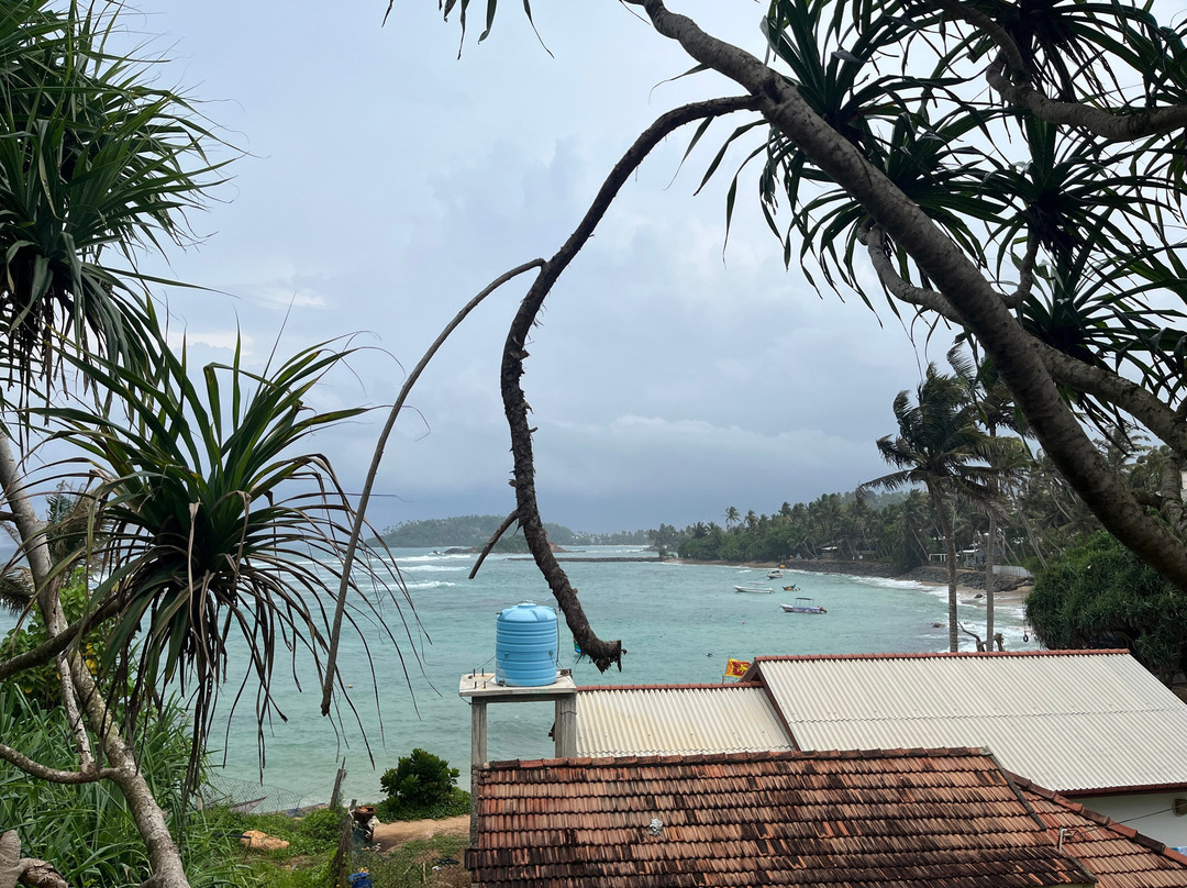 Coconut Tree Hill-美蕊沙必去景点