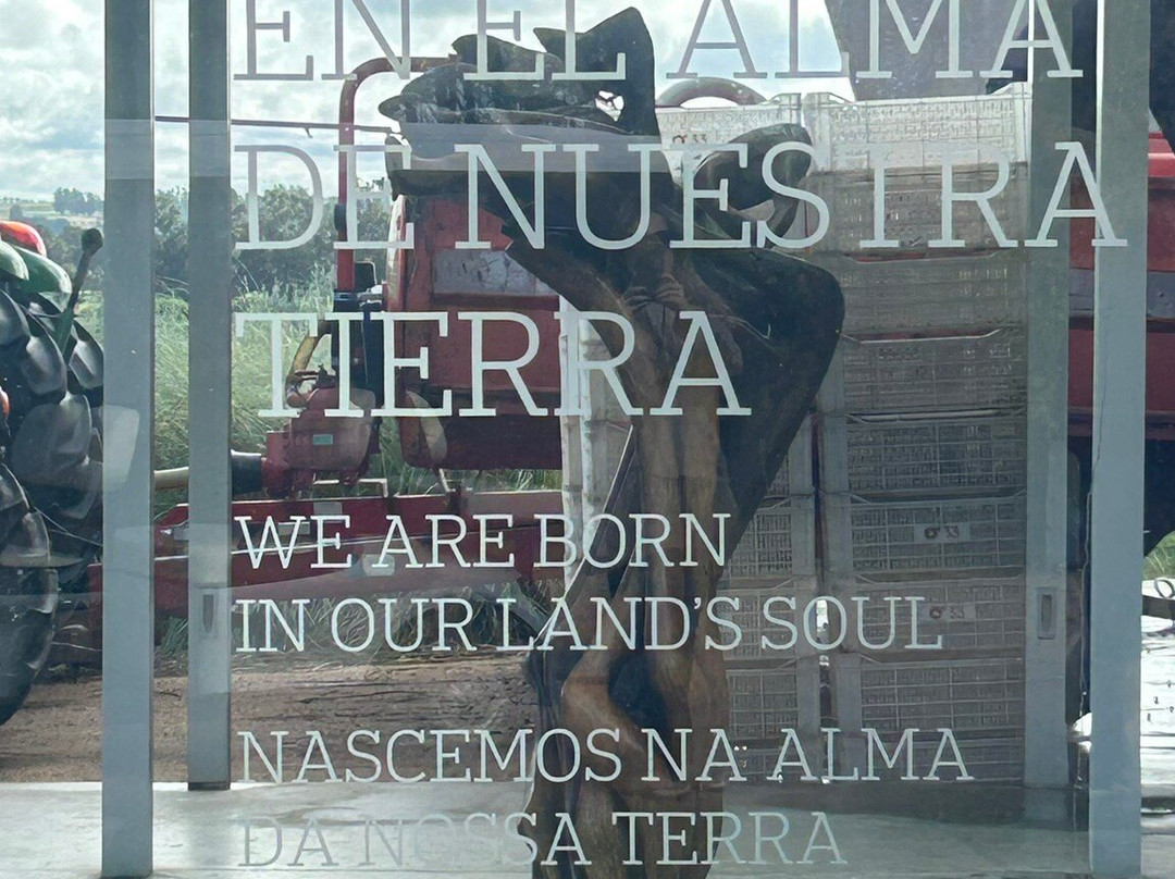 Jose Ignacio Bodega Oceanica-Jose Ignacio必去景点