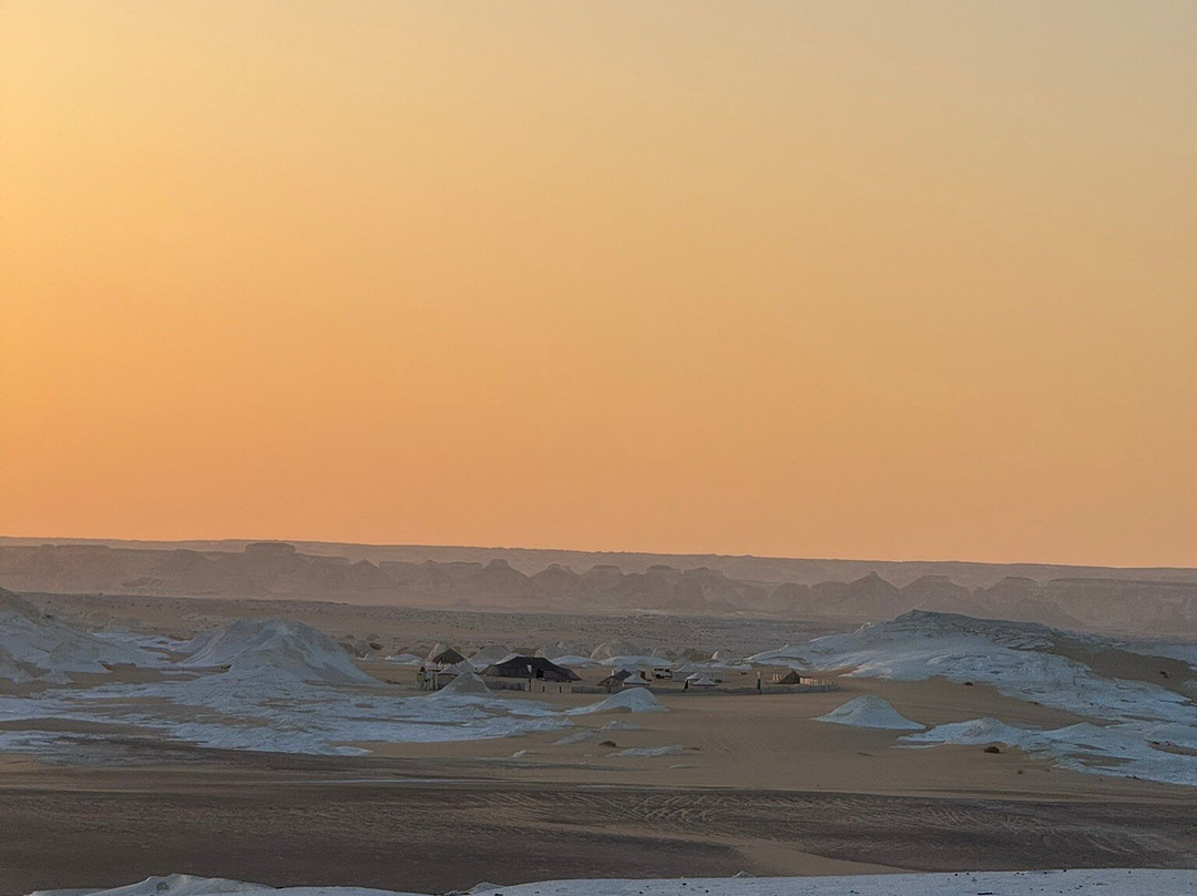 White Desert tours-Bawiti必去景点