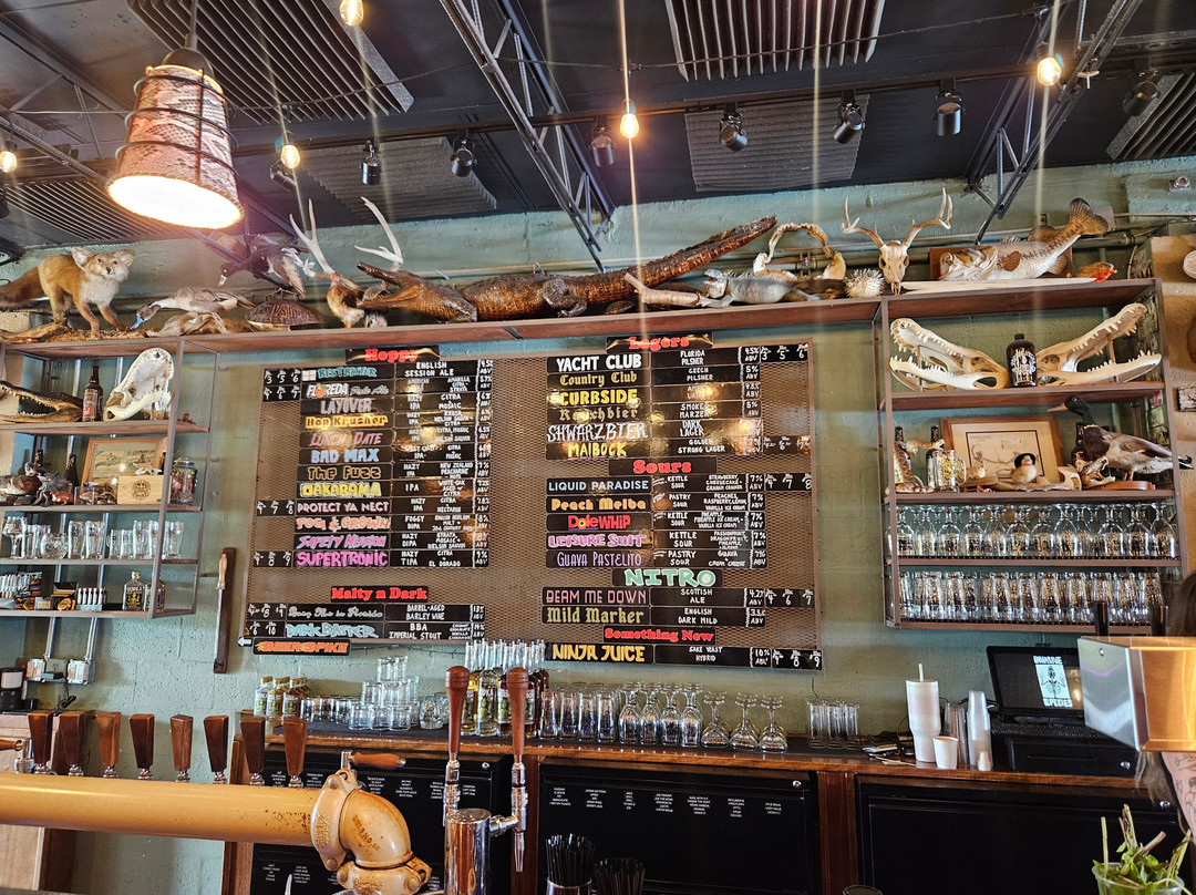 Invasive Species Brewing-劳德代尔堡必去景点