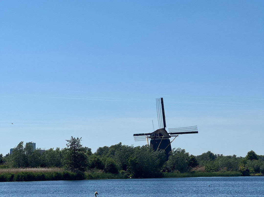 Rotterdamishot.nl景点图片