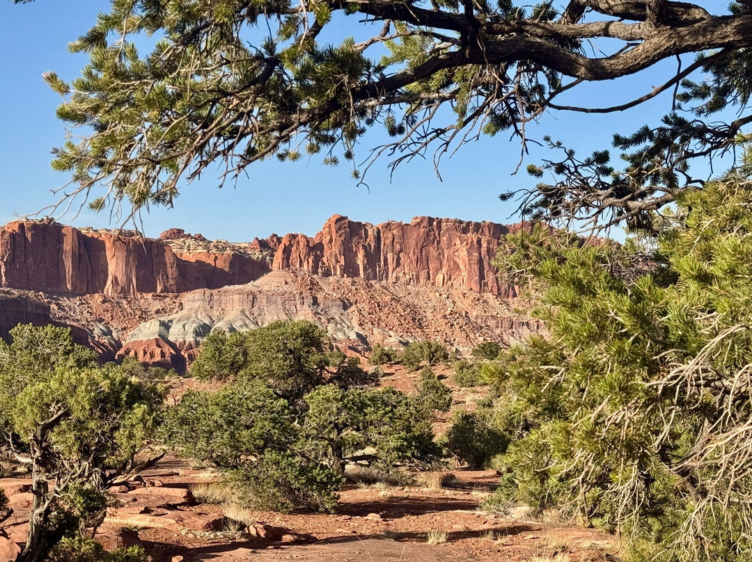 Days Inn by Wyndham Torrey Capital Reef主图