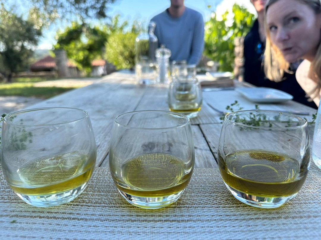 Tour My Day-卡拉马塔必去景点