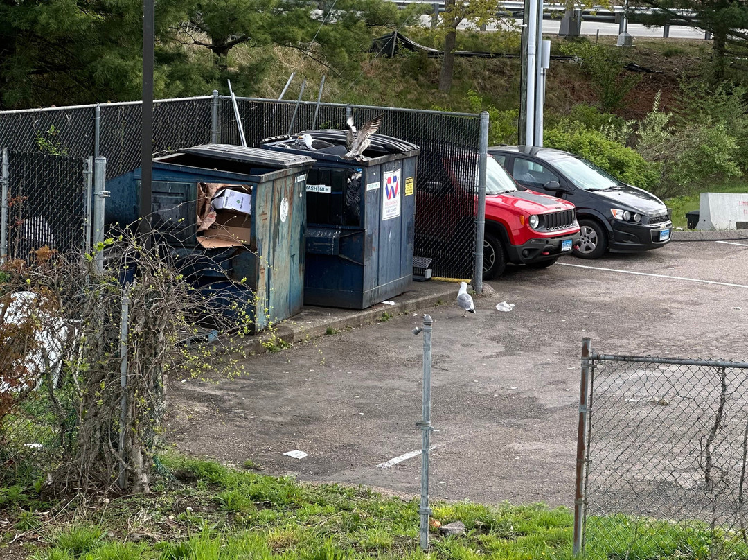 Howard Johnson by Wyndham Mystic主图