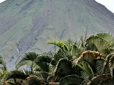 El Choyin-福德圣卡洛斯必去景点