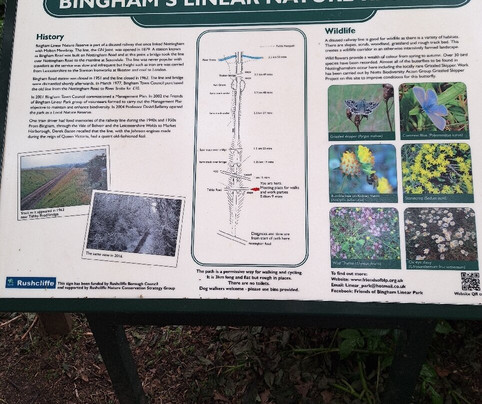 Linear Park-Bingham必去景点