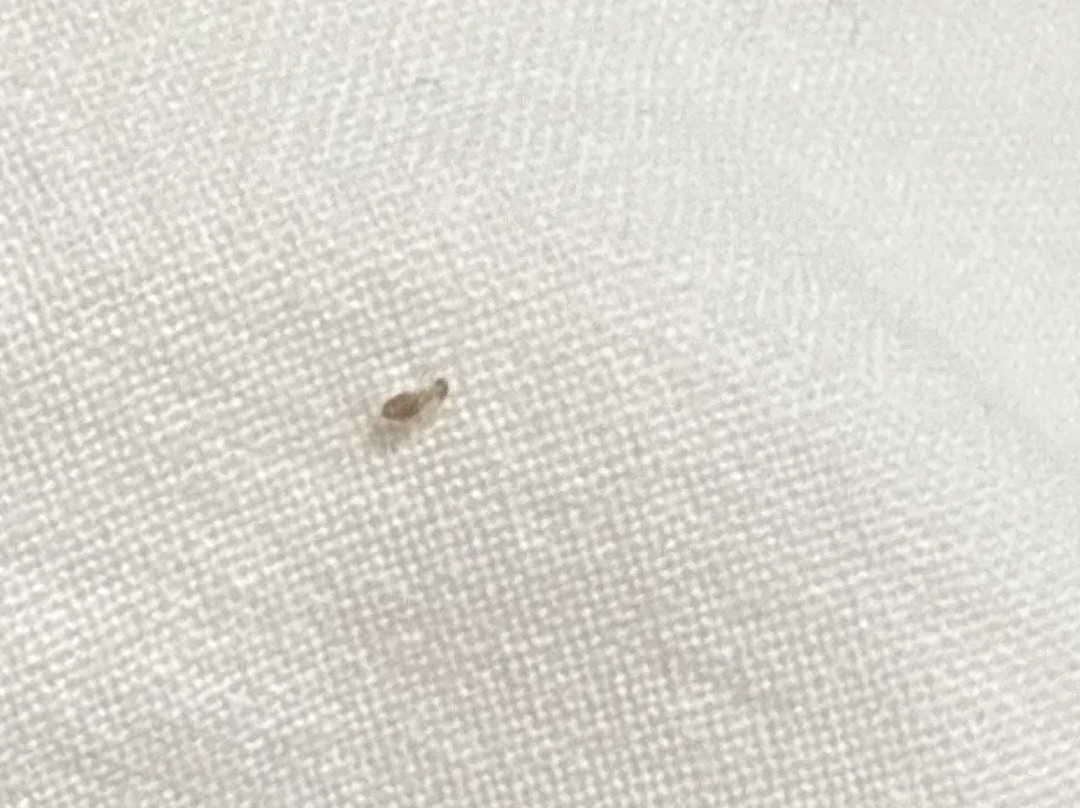 Acorns Guest House主图