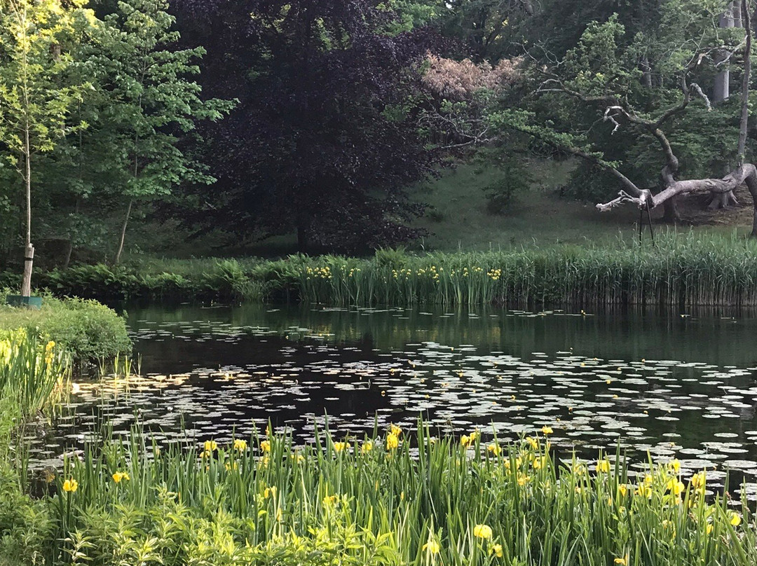 Elswout wandel-park van Staatsbosbeheer景点图片