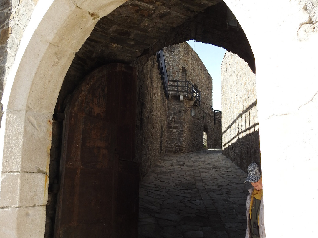 Castello di Gorizia景点图片