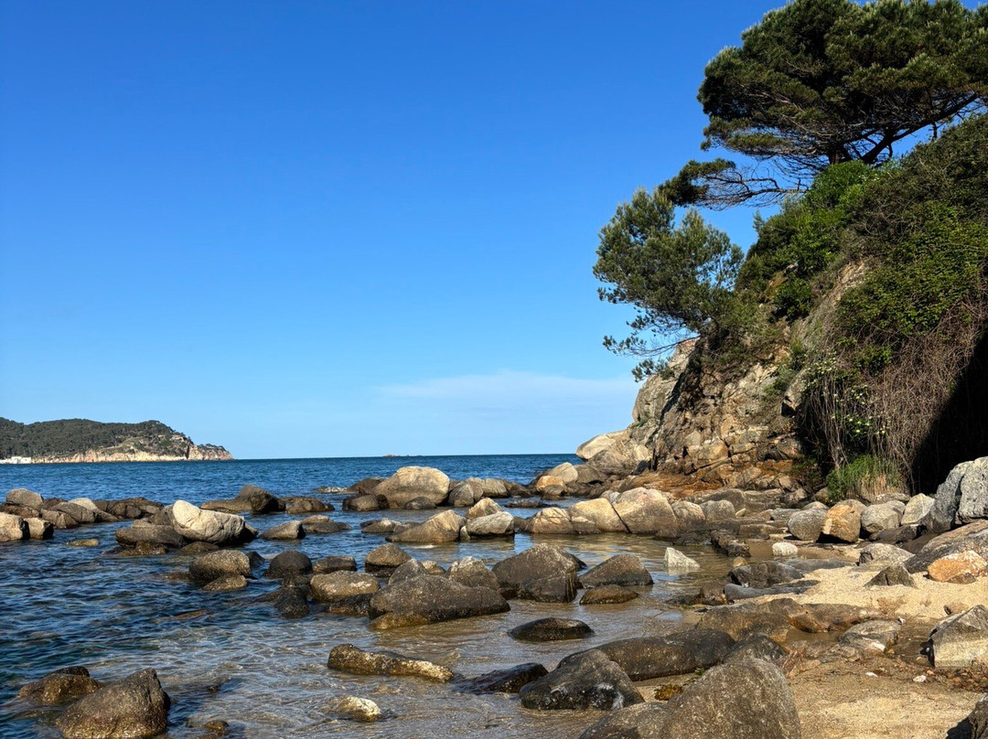 La Fosca Beach-Palamos必去景点
